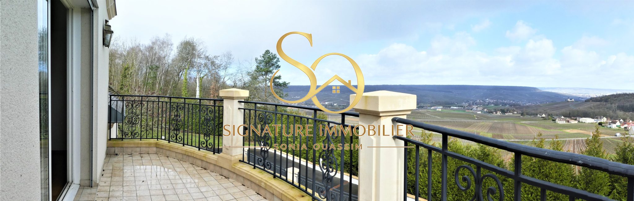 Propriété d'exception d'environ 950 m2 Intimité et beaux volumes à 5 min d'Épernay - 832 000 € Propriété d'exception d'environ 950 m2 Intimité et beaux volumes à environ 5 min d'Épernay